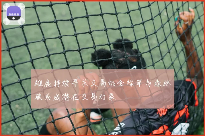 雄鹿持续寻求交易机会绿军与森林狼或成潜在交易对象