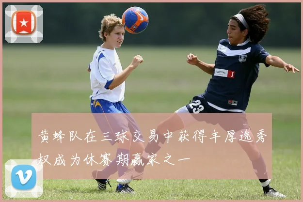 黄蜂队在三球交易中获得丰厚选秀权成为休赛期赢家之一